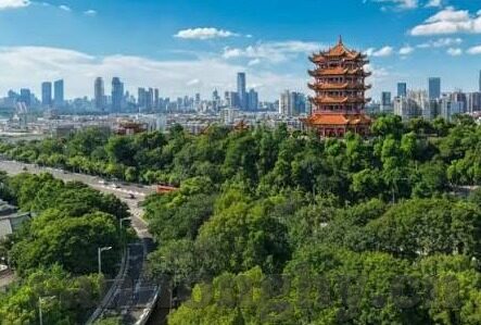 麻豆传媒映画国产-国产影视的独特魅力，麻豆传媒映画案例解析